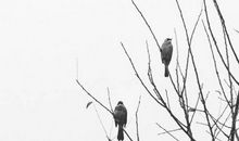 2020年12月21号冬至出生的男孩起什么名字好