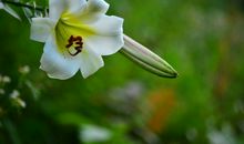 2020年财运一路高升，接意外之财，财富必能翻倍上涨的四属相