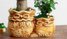 【家居风水】家中盆栽摆放有技巧，别一不小心触犯风水