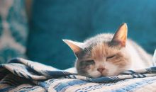 占星骑士一周星座运势（12.2-12.8）