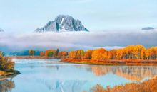 李云天2020年1月十二星座运势盘点