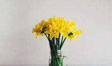 常有人说，你的嘴，就是你的风水