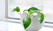 风水调理布局如何增加我们的财运风水运势