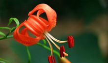 事业一路高涨，3个生肖，未来2年，财富惊人，直冲九霄