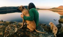 海百合一周星座运势（12.2-12.8）