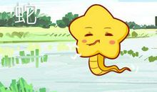 属猪属蛇的婚姻怎么样 不是很推荐