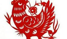 属鸡过年出生的人命运解析 属鸡正月初一出生命运(图文)