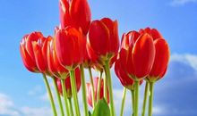 千万不要让天秤座为难