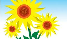 房子风水布局八卦方位图解