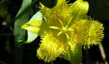 天蝎座的优势，你知道多少？