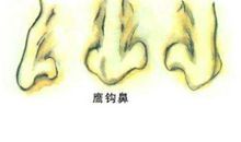 有着鹰钩鼻的女人的性格好还是坏？面相如何？