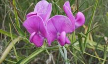 和射手座分手之后，就不要再打扰