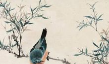 生辰八字起名：2020年9月17号出生的女孩结合古诗词取名字