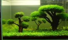 风水师教如何布置阳宅风水