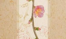 生肖属蛇女2020年11月份生小孩好不好，性格怎么样