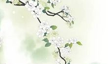 生肖属蛇女2020年7月份生小孩好不好，会相合吗