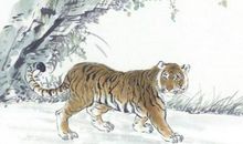 1962年出生的属虎人2020年运势