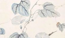 2020年4月30日四月初八生的男孩命运好吗，起什么名字大气