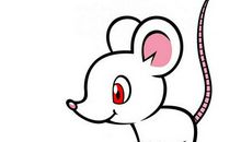 2020年属鼠本命年带什么吊坠可以开运