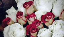 上半年你会否谈一场注定分手的恋爱？