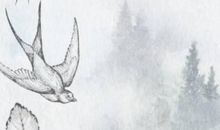 农历2020鼠年大年初三可以剪头发吗，年初三理发有什么讲究？