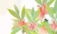 农历2019猪年十二月二十八生的女孩怎么起个好名字