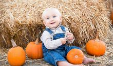 属狗男孩应该取什么名字