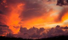 2020年风生水起，事业兴旺，赚足财帛的4大生肖