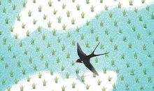 生辰八字取名：农历2019猪年十二月二十六出生的女孩如何起名