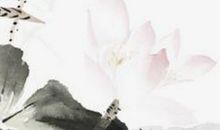 农历六月出生的女孩如何起名字气质又好听