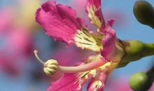 未来7天事业运佳，生意运红的属相，处处惊喜呈现，日子光彩照人