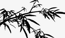 2020年7月出生的鼠宝宝起名方法有哪些