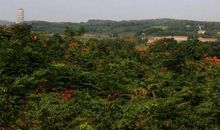 荆州一座有名的山峰，山上有很多宝藏，被古人视为风水宝地