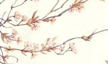 农历2019猪年十二月二十三出生的女孩起什么名字寓意好