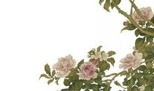 2020年4月16号三月二十四生的人性格命运解析，五行八字查询