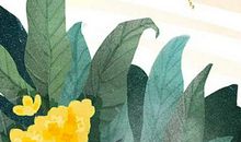 农历2019猪年十二月二十二出生的女孩起什么名字有涵义