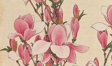 2020年6月1号出生的男孩怎么起名字好，五行属什么