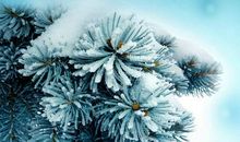 2020年大寒1月20日与属兔人是六合吗 相合生肖是贵人吗？(图文)