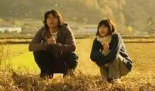 婚姻容易动摇或摇摆的生肖人