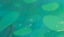 八字取名：农历2019猪年十二月十七出生的女孩怎么起名字