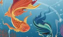 生辰八字取名：农历2019猪年十二月十二出生的女孩如何起名