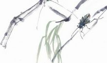 2020年2月29号二月初七出生的男孩命运好吗，起什么名字吉祥