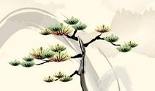 2020年2月28号二月初六出生的男孩命好不好，怎么起名字有寓意