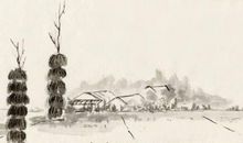 子时出生的人2020鼠年桃花运好吗，六月的桃花运最旺