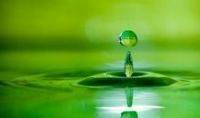 未来7天，这几个生肖可以摆脱霉运，福气旺盛，开年吉祥！