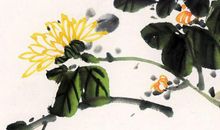 2020年2月27号二月初五出生的男孩命运好吗，起什么名字运势好