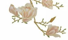 2020年3月21日二月二十八生的男孩命运好吗，取什么名字好