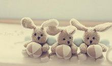 属猪2019年生肖适合适合换工作吗？能否顺利？(图文)