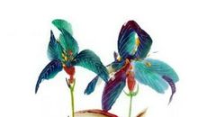 2020年2月25号二月初三出生的男孩命运好吗，起什么名字有福气