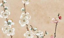 2020年5月31号闰四月初九日生的男孩命运好吗，取什么名字好